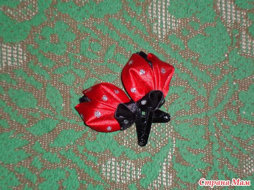 Любимые насекомые моей дочурки!