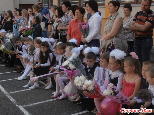 А вот и наша линейка