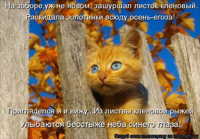 Творческие денечки. Ноябрь - 1