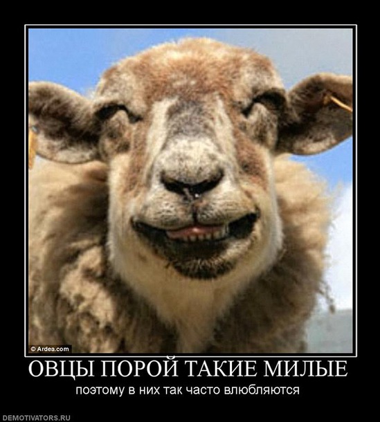 С прздником, дорогие бяшки!