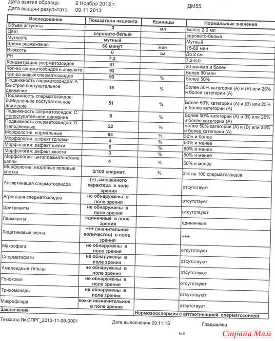 Все о спермограмме