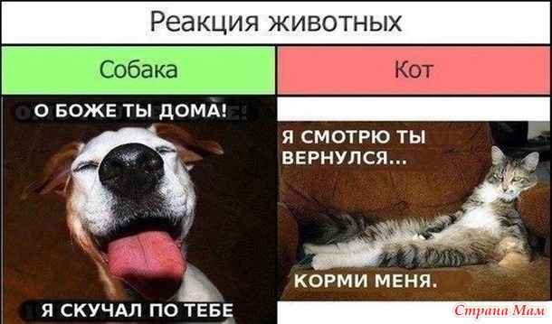     ??)))