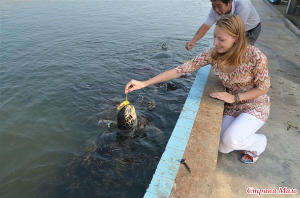 ��� ������ ������ )) ����� �� Nesana ))) �� � ���� ���� ���������