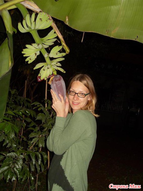 ��� ������ ������ )) ����� �� Nesana ))) �� � ���� ���� ���������