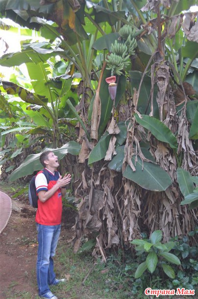 ��� ������ ������ )) ����� �� Nesana ))) �� � ���� ���� ���������