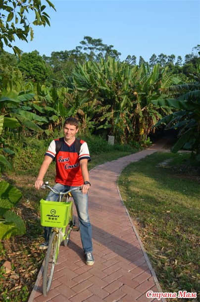 ��� ������ ������ )) ����� �� Nesana ))) �� � ���� ���� ���������