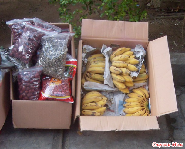 ��� ������ ������ )) ����� �� Nesana ))) �� � ���� ���� ���������