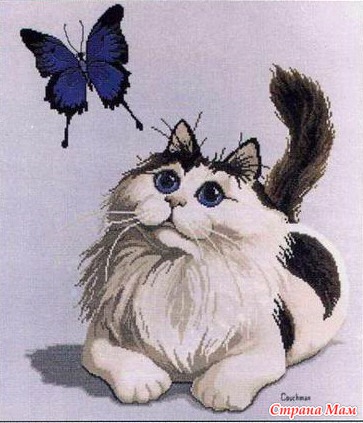 58