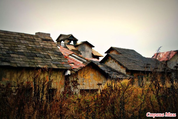 "Фотосессия" в киногородке