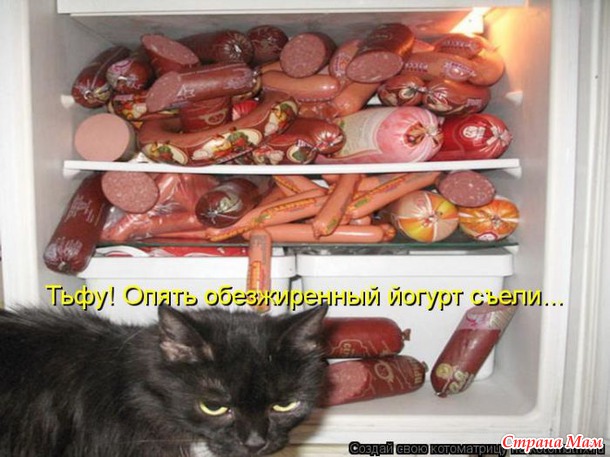 Сплошная котовасия