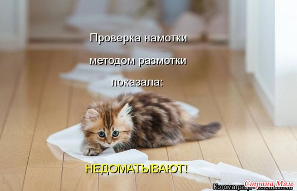 Сплошная котовасия
