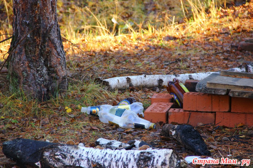 Горение мусора на открытой территории фото