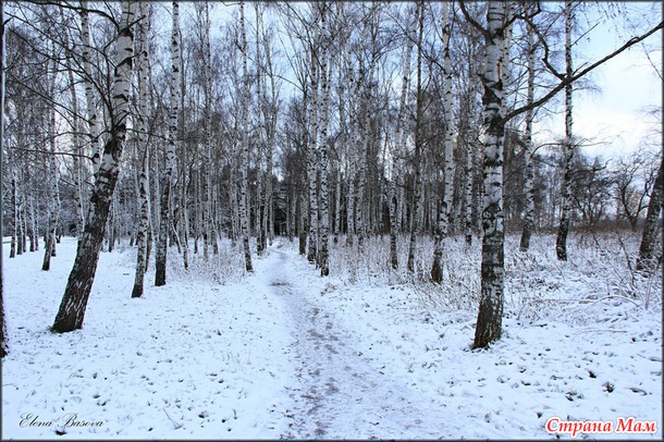 Московский снегопад (первый снег в Москве)
