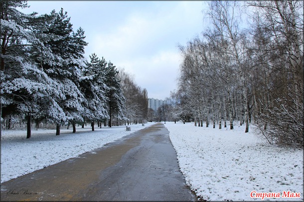 Московский снегопад (первый снег в Москве)