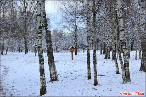 Московский снегопад (первый снег в Москве)