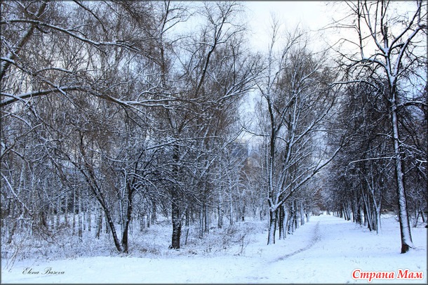 Московский снегопад (первый снег в Москве)