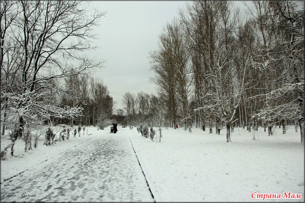 Московский снегопад (первый снег в Москве)