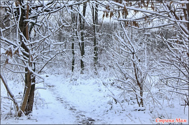 Московский снегопад (первый снег в Москве)