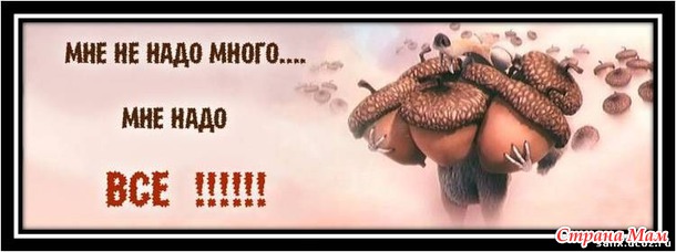 Хвастик по СП-8 Зонты. Большой выбор на любой вкус! Делайте подарки к НГ! Россия