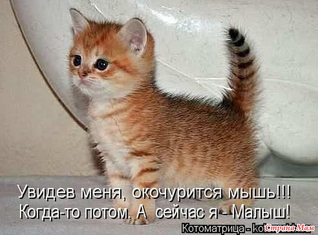 ,            .