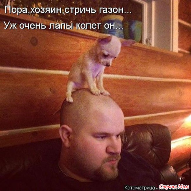 ,            .