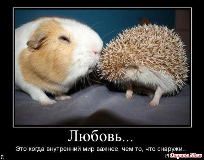 Пусть Ваше настроение в четверг будет ПРЕВОСХОДНЫМ!!!