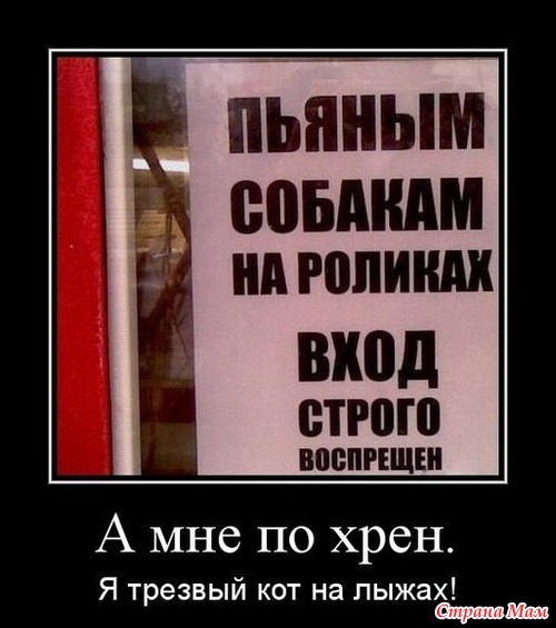 Пусть Ваше настроение в четверг будет ПРЕВОСХОДНЫМ!!!