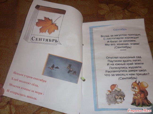 Книжки-малышки тематические в детсад!