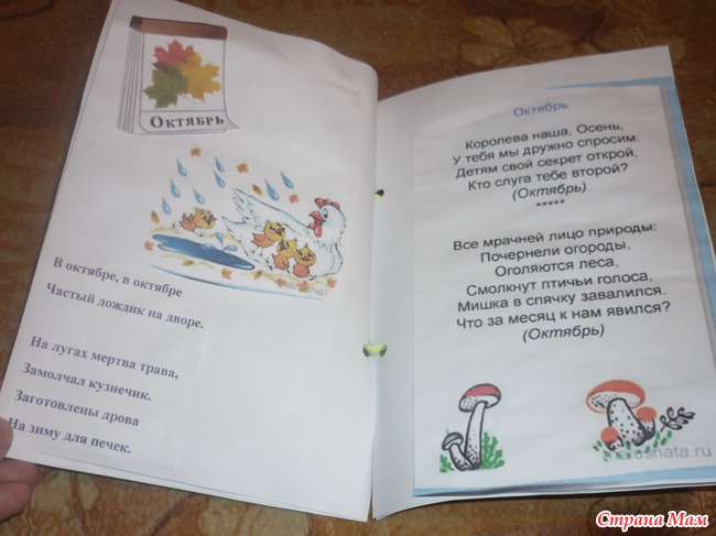 Книжки-малышки тематические в детсад!