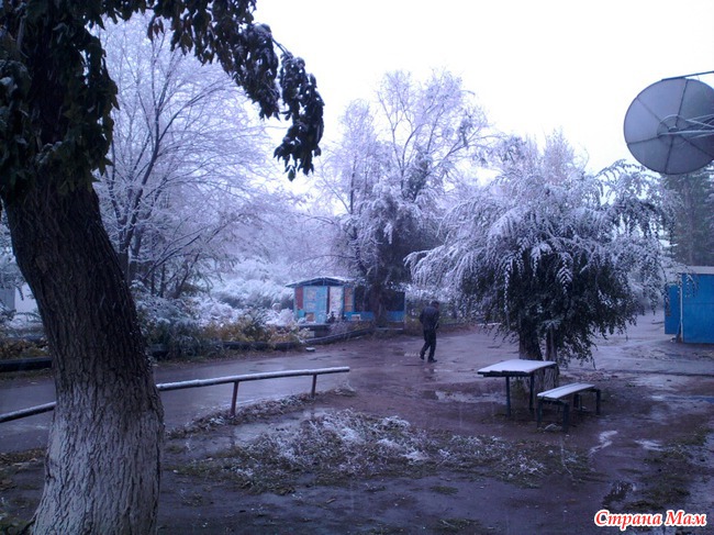 Привет всем. И нас накрыло белоснежным покрывалом. Смотрите сами :))