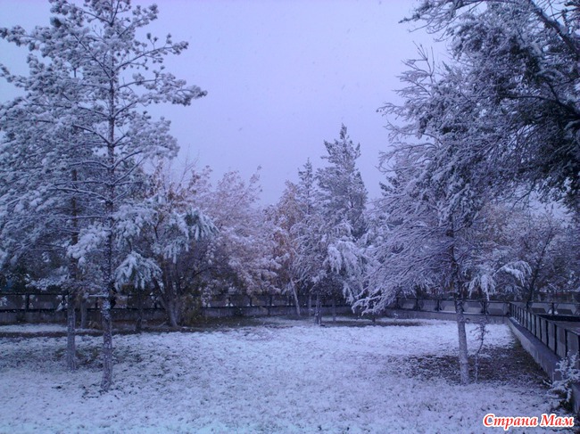 Привет всем. И нас накрыло белоснежным покрывалом. Смотрите сами :))