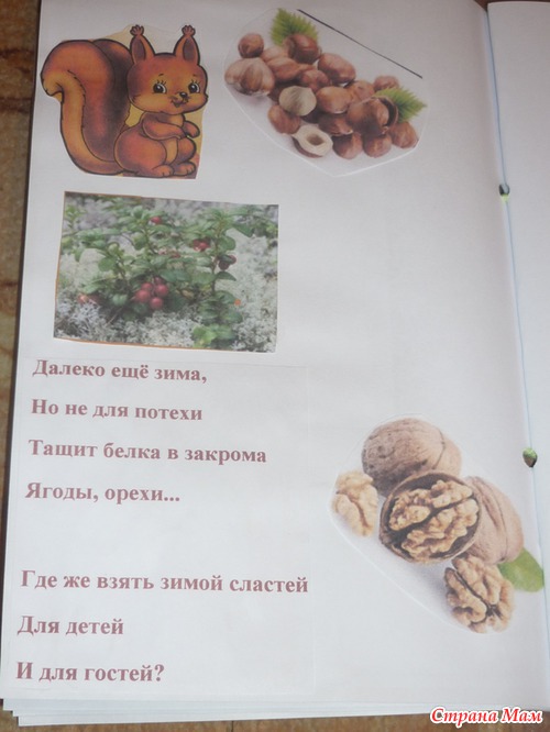 Книжки-малышки тематические в детсад!