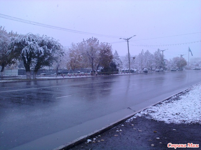 Привет всем. И нас накрыло белоснежным покрывалом. Смотрите сами :))