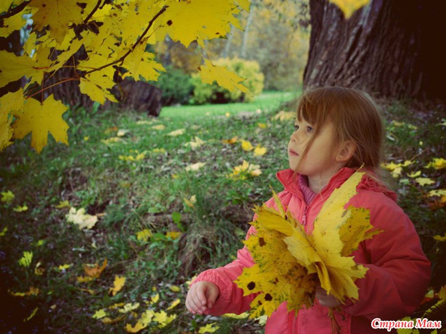Алинкина осень