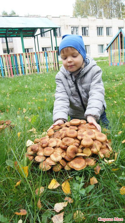 Наши осенние забавы и всякая всячина
