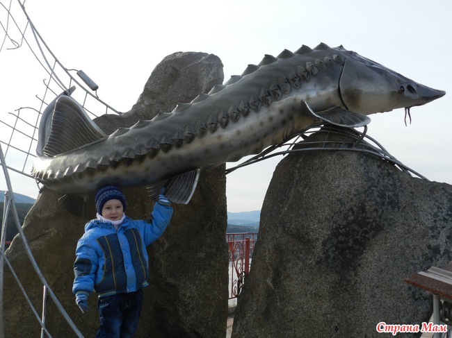 ***Нам Г О Д И К ***