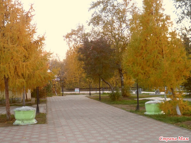 Осенняя прогулка в парке (мого фото)