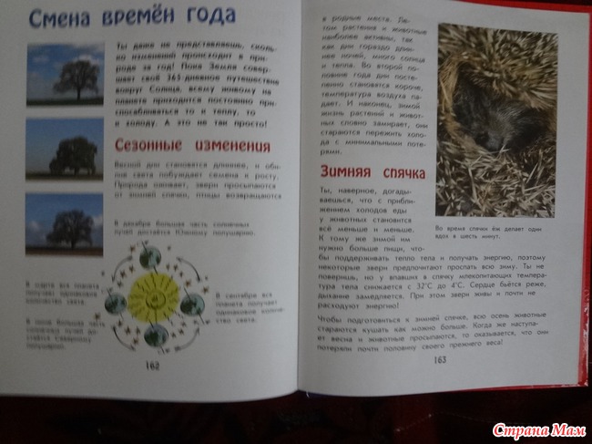 Время, а нужно ли учить определять время?