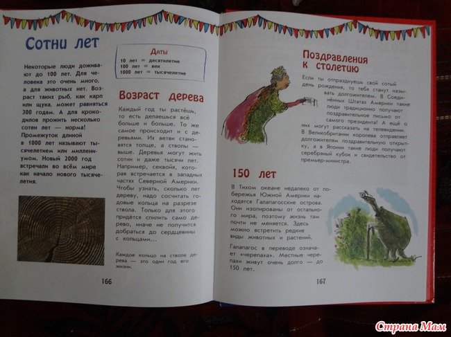 Время, а нужно ли учить определять время?
