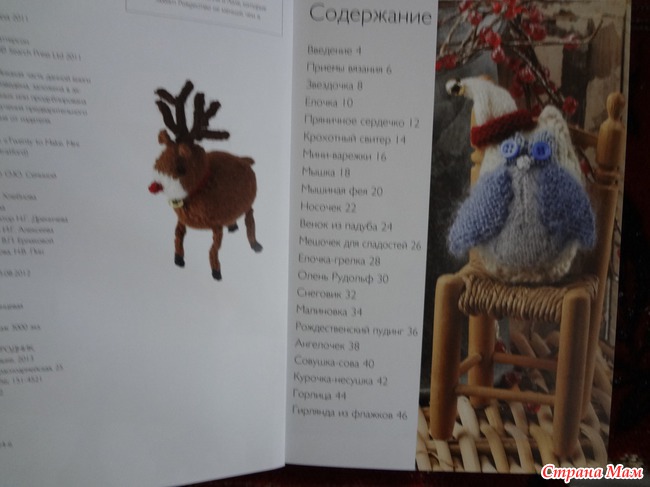 20 проектов. Зимние мотивы. Вязание на спицах