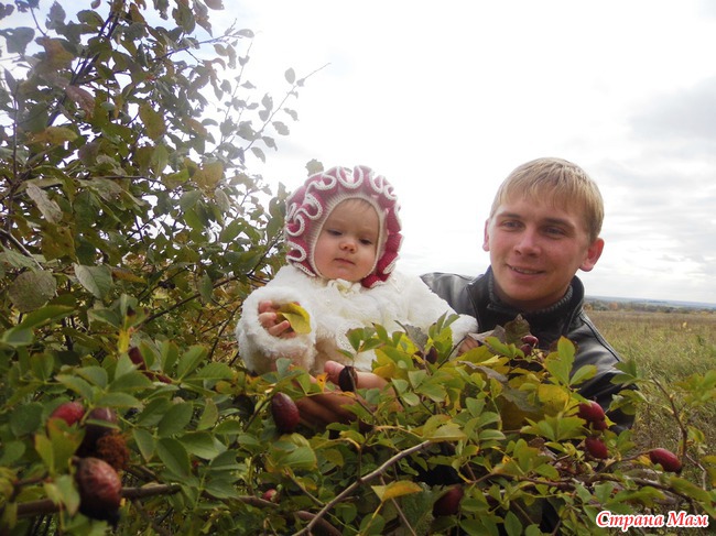 Наша осень. (много слов и очень много фото)