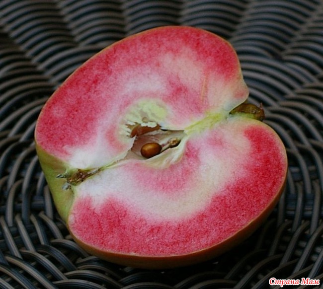  (Pink Pearl apples)-   