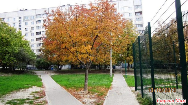 Золотая осень в Слобожанщине.