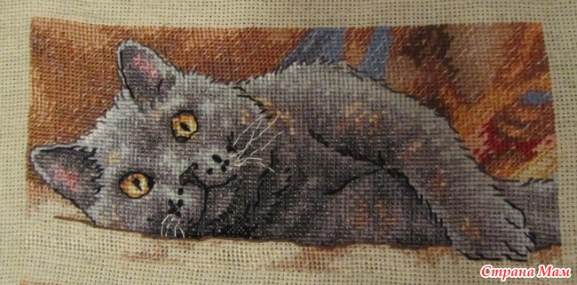 Забрала котика из багетки)))