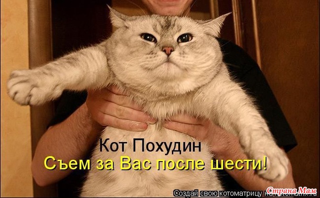  ,   ,    -    . / /