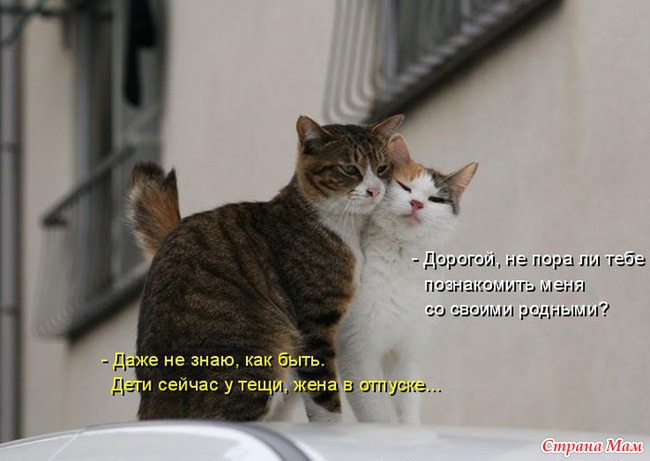  ,   ,    -    . / /