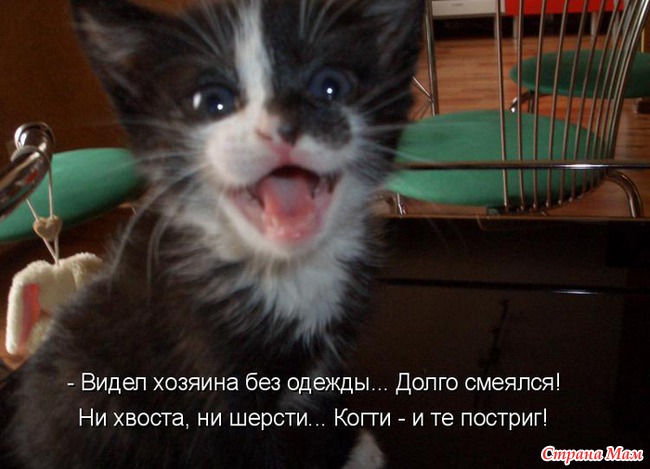  ,   ,    -    . / /