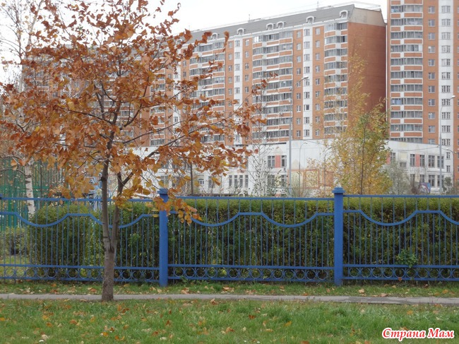 Моя Москва осенью