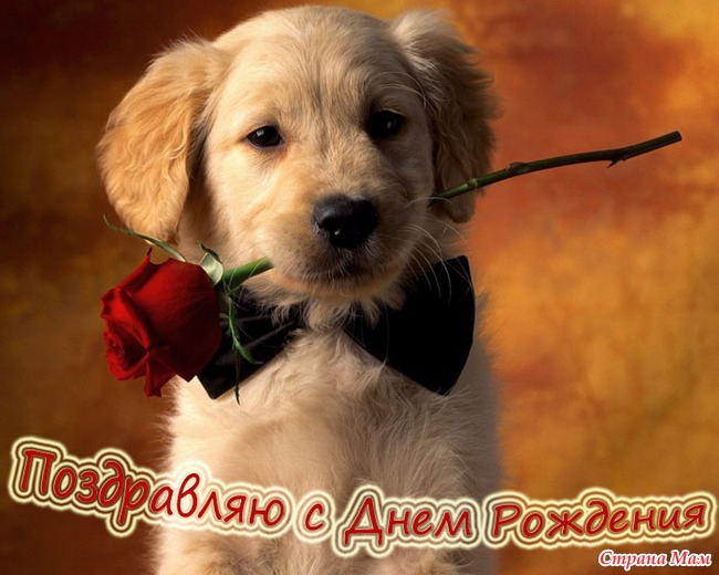 С Днем Рождения любимый администратор!!!