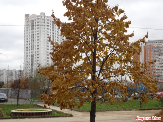 Моя Москва осенью